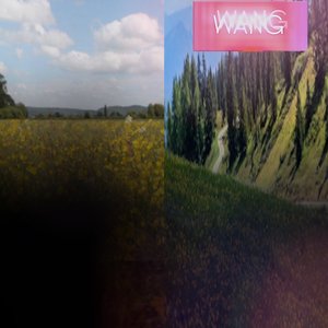 Wang