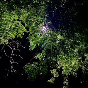 Lucky, Worried, All The Time