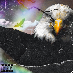 Remember Everybody Ain't Loyal