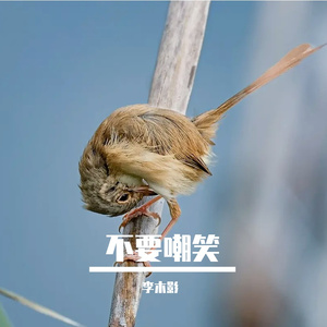 不要嘲笑