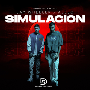 Simulación