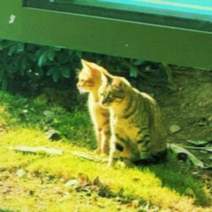 世界末日我们手牵手