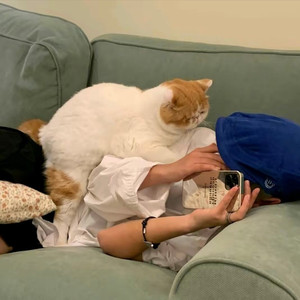 Nobody Compares To You (片段版)