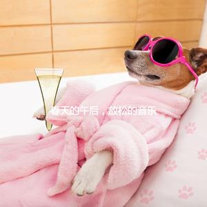 Lively Ambience for Rainy Study Days