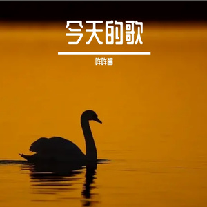 今天的歌