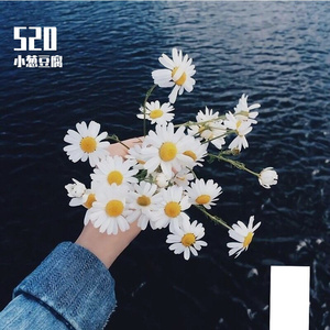 化身孤岛的鲸（翻自 鲸鱼岛乐队）