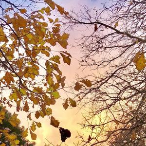 我不是你的先生宋冬野