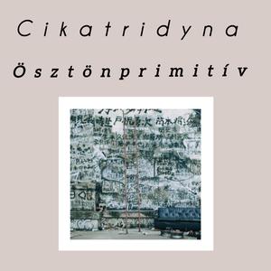 Ösztönprimitív