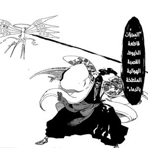 TYBW