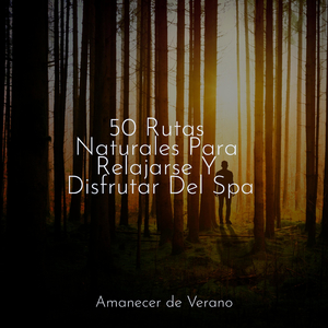 Serenata Veraniega Luminosa