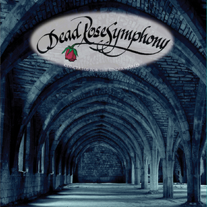 The Whitechapel Killings