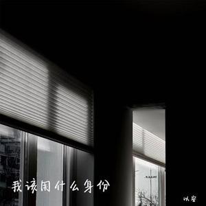 我该用什么身份 (降调)