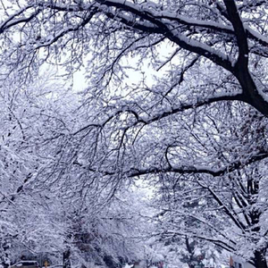 baby it's cold outside feat. RYCE, barnes blvd.