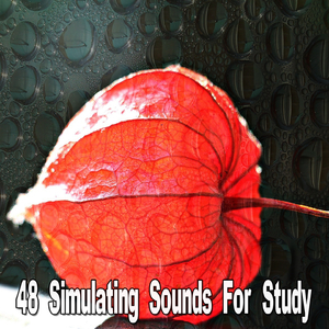 The Old Rocking Chair