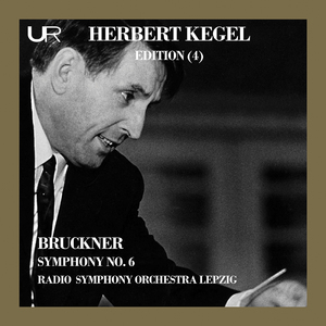 Symphony No. 6 in A Major, WAB 106:I. Majestoso (Live)