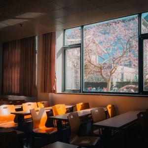 20260417193830_提取音频.wav