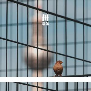 异乡盼归港湾_mix