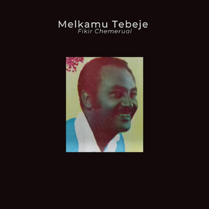 Fikir Chemerual