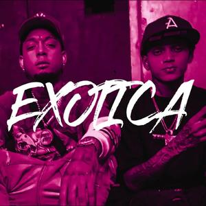 EXOTICA (PISTA DE DEMBOW DOMINICANO)LOS 600 FLOW
