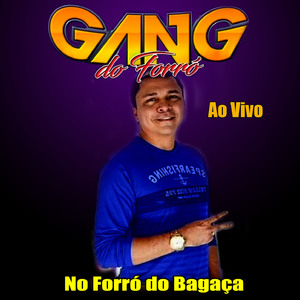 Pra falar de amor - GANG DO FORRÓ