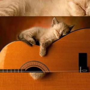 公路之歌（女声版）