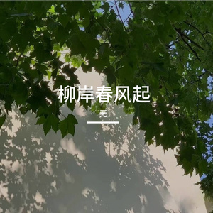 柳岸春风起