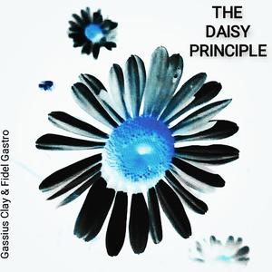 The Daisy Principle Pace Spoken