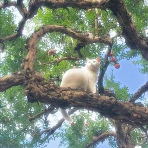 当你(Prod.EVO MUSIC)