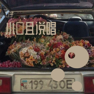 不会说谎的恰恰 翻自不会说唱的马思唯