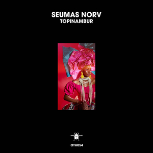 Topinambur (Radio Edit)