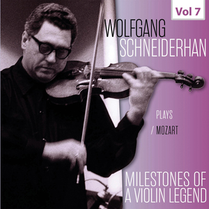 Violin Concerto in D Major, K. 218:I. Allegro