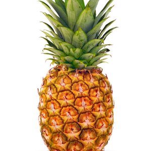 大菠萝
