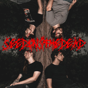 Toppling a Systemic Ego