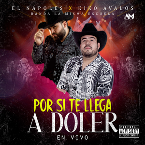 Por Si Te Llega A Doler (En Vivo)