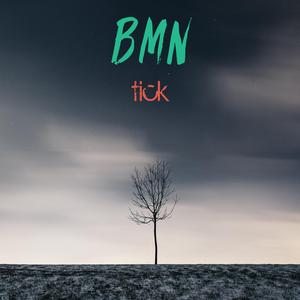 Tick