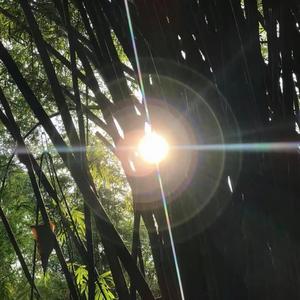 Monsters (氛围纯享版)