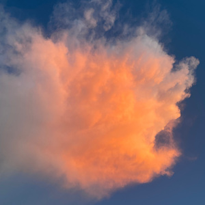 你是温暖的春天