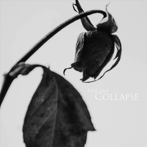 Collapse