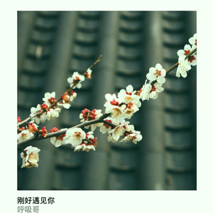 - 刚好遇见你(cover mr.Li-8°)（呼吸哥（刘金鑫） remix）