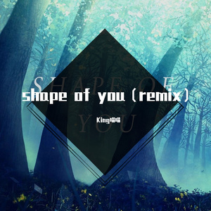 J.Fla-shape of you EDM（Kinssion remix）