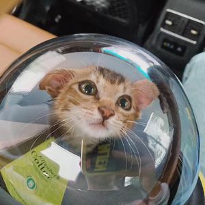 风 是秋的味道了(prod.Fantom)