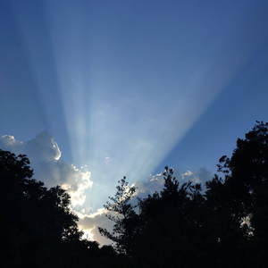 友谊天长地久 (放松心情纯音乐)