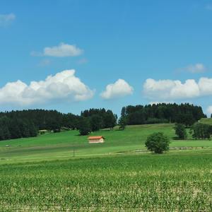 Peaceful Mindfulness