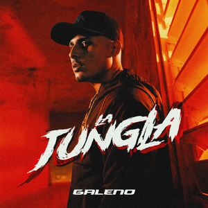 LA JUNGLA