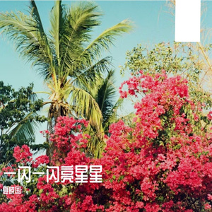 一闪一闪亮星星 伴奏