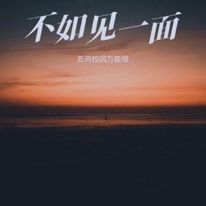 杨洋-不如见一面.wav（五河校园万能墙 remix）