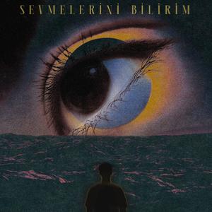 Sevmelerini Bilirim