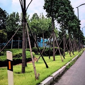 夏日的约定-整曲 伴奏