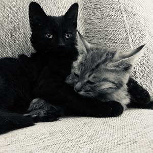 大兴子-纸醉金迷（大兴子 remix）