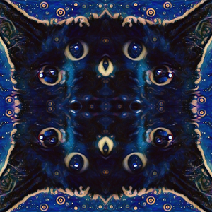 The Salem Symphonics Three